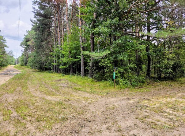 6573 Williams Trail, Grayling, MI 49738