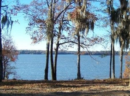 Lots 2, 3, 4 Point Drive, Georgetown, GA 39854