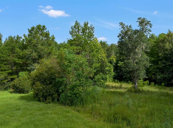 402 Mistletoe Lane, Monticello, FL 32344