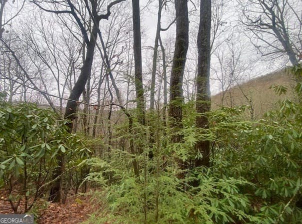 LOT 17 Ridgepole Drive, Sky Valley, GA 30537
