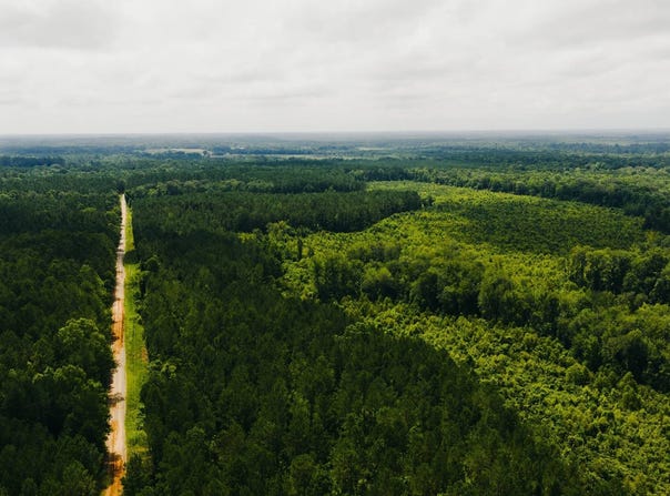 Brand Road, Newton, MS 39345