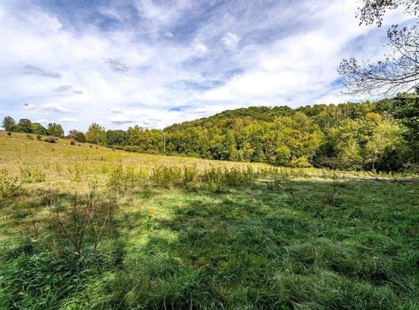 BUNKER HILL MILL RD, LEXINGTON, VA 24450
