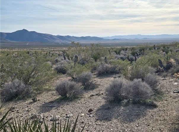 17447 N Magnolia Dr, Dolan Springs, AZ 86441