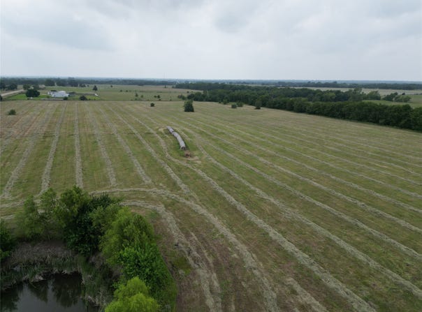 10.04 ac FM 2716, Cooper, TX 75432