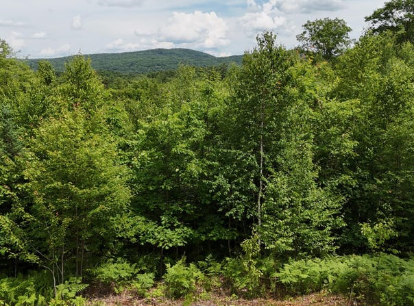 4 Youngs Road, Canton, ME 04221