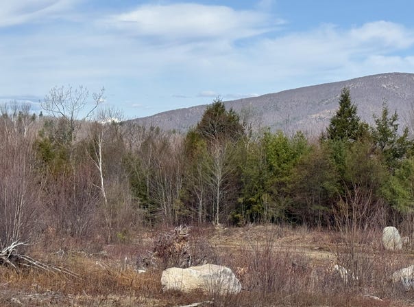 29 Haviture Way, Denmark, ME 04022