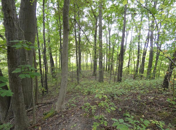 530 Rembert Court, Benton Harbor, MI 49022