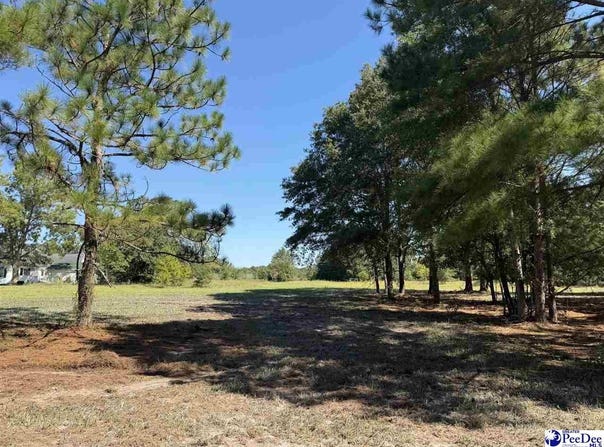 Isaiah Drive lot: 4, Dillon, SC 29536