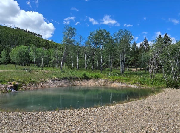 8 Tract Hall Creek, Helmville, MT 59843