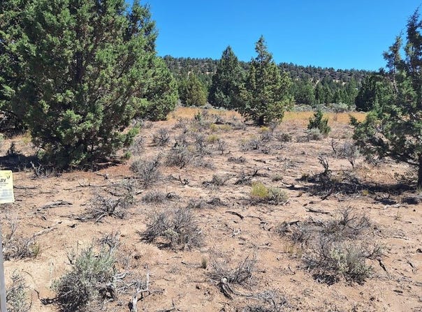 1100 GoldenView Ranch, Bend, OR 97701