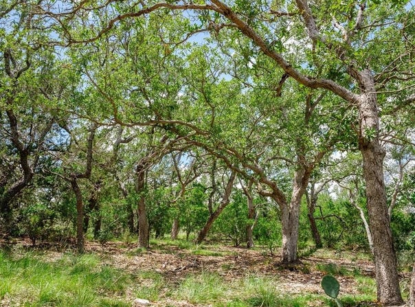 1632 Link lot: 6, Doss, TX 78618