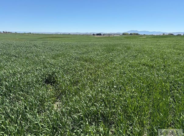 1500 W, Pingree, ID 83262