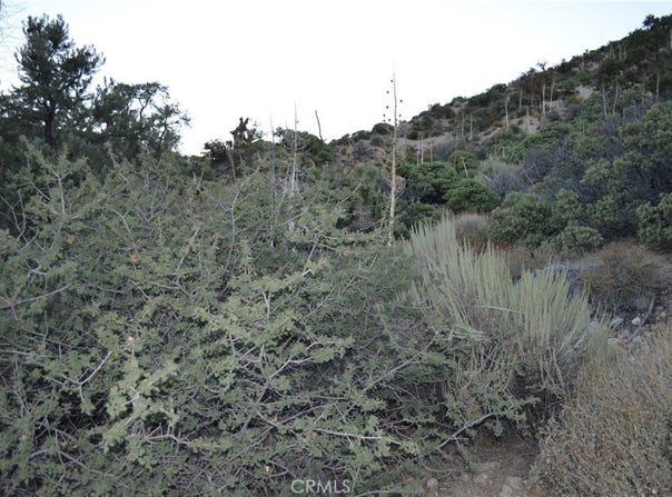Verde, Pinon Hills, CA 92372