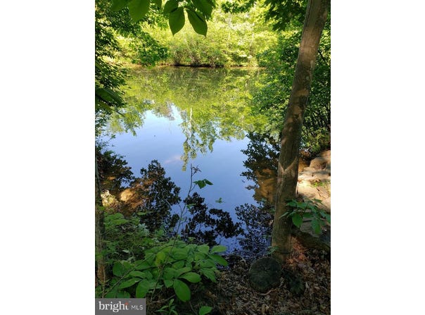 LAKEVIEW, CROSS JUNCTION, VA 22625