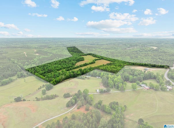 HIGHWAY 191 lot: 107 Acres, MAPLESVILLE, AL 36750