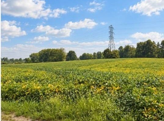 Norwalk Road, Kimbolton, OH 43749