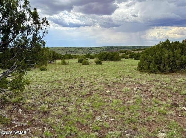 83 County Rd. 8128, Concho, AZ 85924