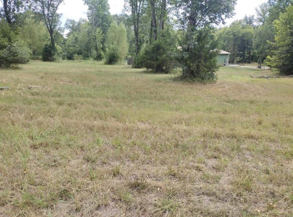 Frances Cove, Mountain View, AR 71560