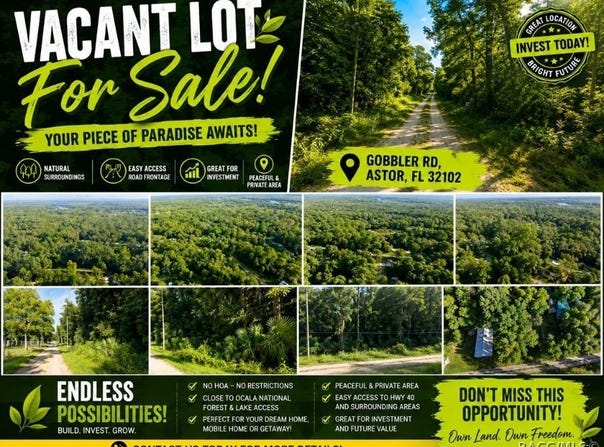 GOBBLER Road, Astor, FL 32102