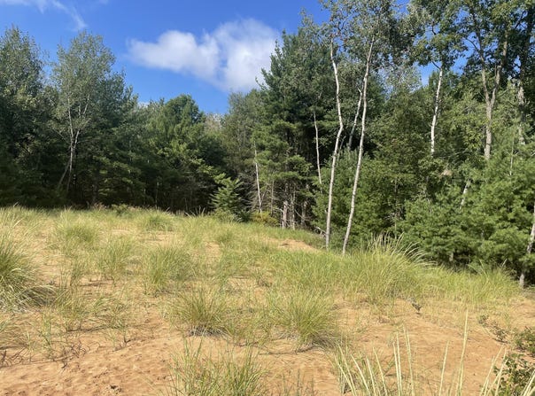 6367 N Dune Grass Trail, Hart, MI 49420