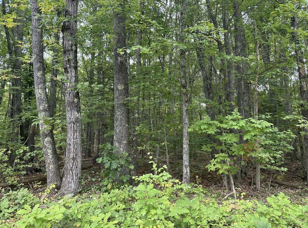 L23-1 Buzzell Hill Road, Hope, ME 04847