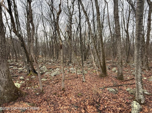 Lipo Way, Albrightsville, PA 18210