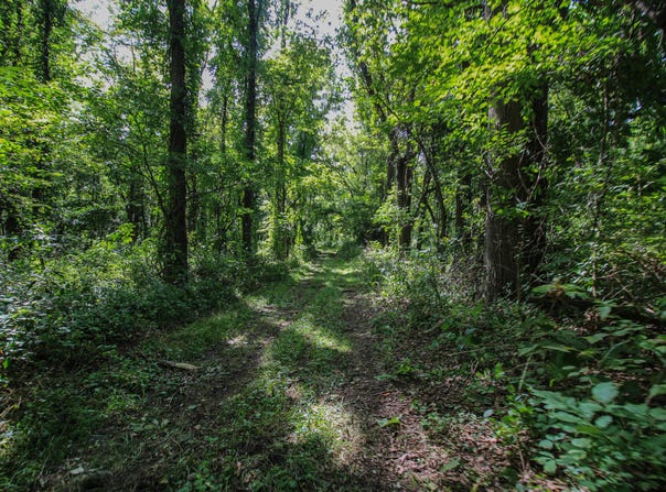 V/L Millard Road, Three Rivers, MI 49093
