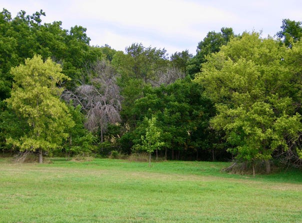 Highway 65, River Falls, WI 54022