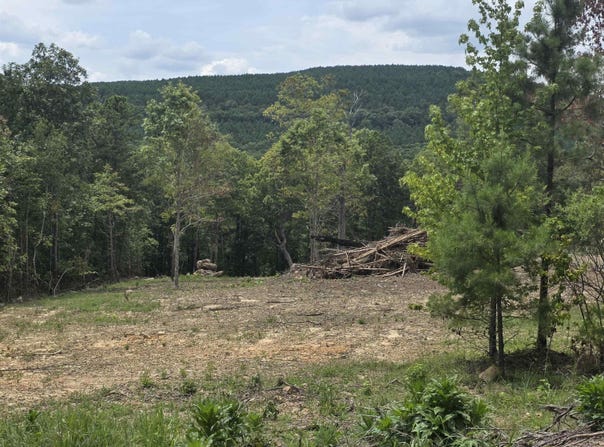 Scenic View lot: 9, Edgemont, AR 72044