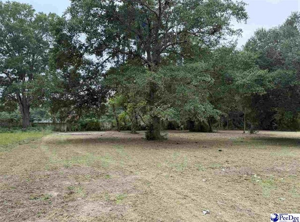1008 E Dargan St, Dillon, SC 29536
