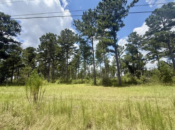 County Road 33, Ashford, AL 36312