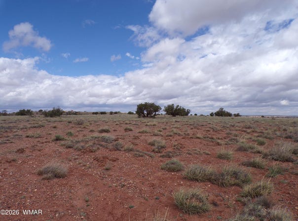 ACR 9040, Concho, AZ 85924