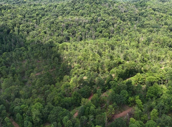 Shay Ridge Road, Wingett Run, OH 45789