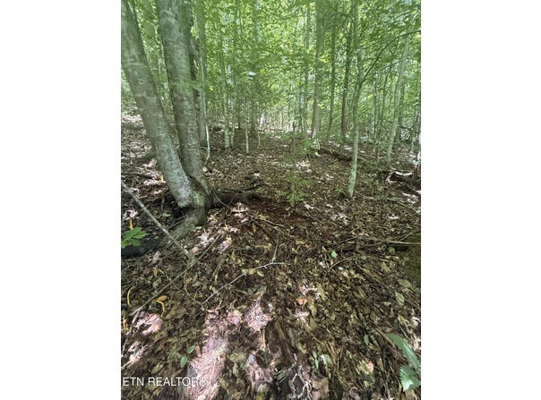 Suttons Rd, Sevierville, TN 37876