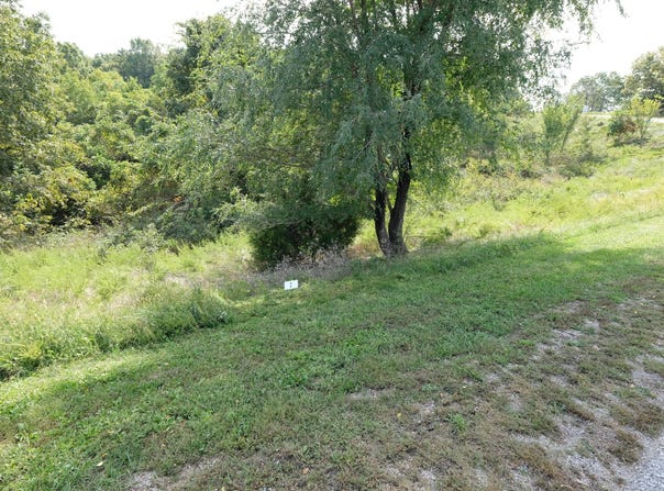 434 Emory Creek Road, Branson, MO 65616