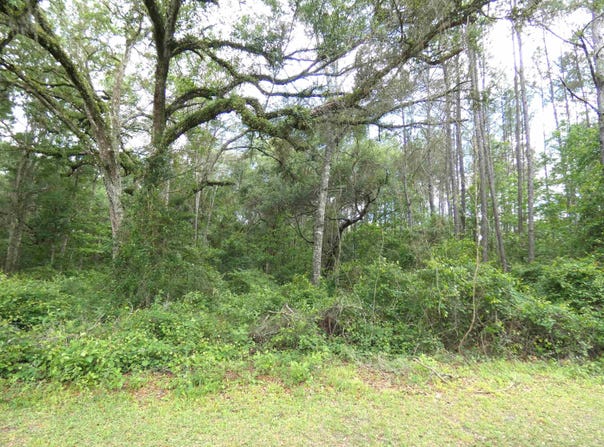 E Cavallo Trail, Monticello, FL 32344