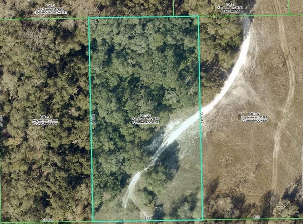 33099 CORAL ROCK Drive, WEBSTER, FL 33597
