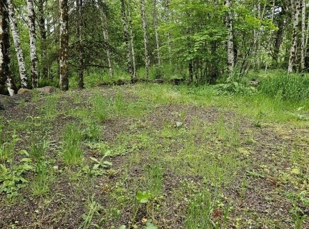 136 PEPPERMILL Rd, Kelso, WA 98626