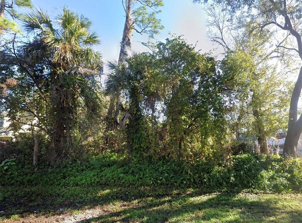2311 UNITY TREE DR, EDGEWATER, FL 32141