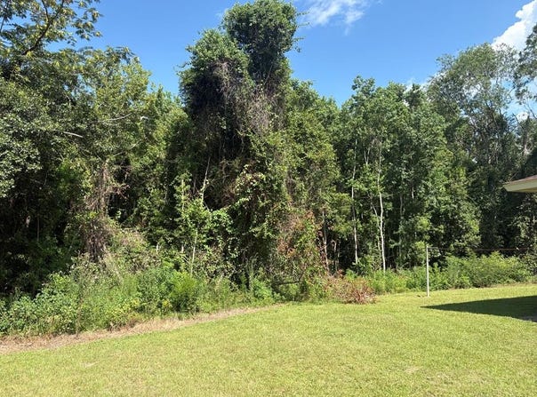 Peachtree, Douglas, GA 31533