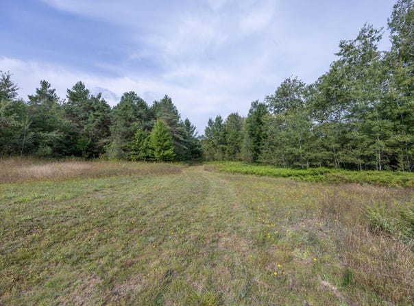 S 27 Road S, Cadillac, MI 49601