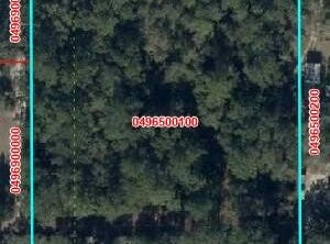 NE 35, Williston, FL