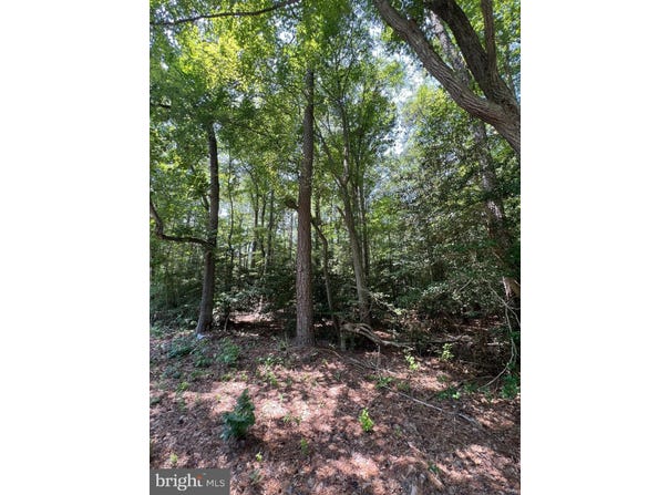 107 W VEGA Way, MILTON, DE 19968