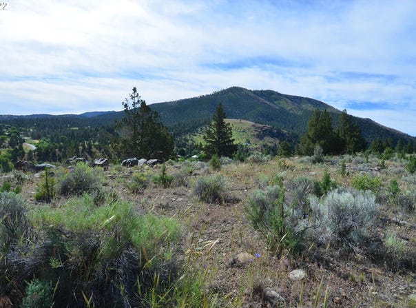 216 ELKVIEW Dr, CanyonCity, OR 97820