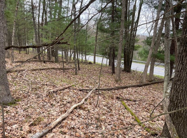 Parcel B Coates Hwy, Brethren, MI 49619