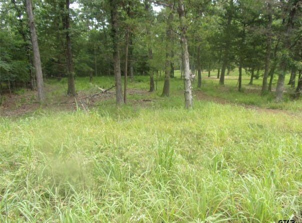 944 Whipporwill, Murchison, TX 75778