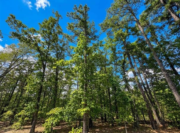 1054 Carter Mountain Trail, Broken Bow, OK 74728