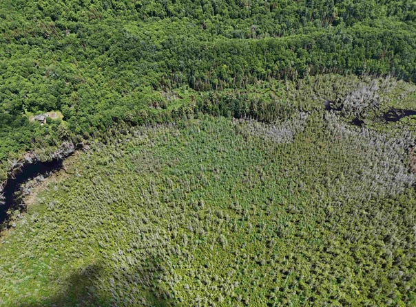 905 Gideons Mill Road, Brighton, VT 05846