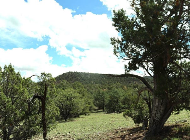 Last Frontier Subdivision, Datil, NM 87821