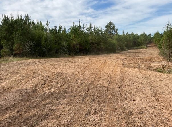 500 Pond Creek Rd, LUVERNE, AL 36049